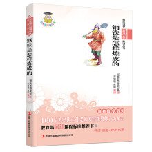 钢铁是怎样炼成的(新课标)