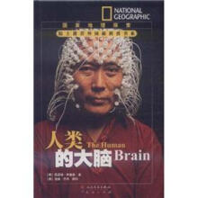 人类的大脑