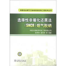 燃煤电站烟气污染物排放控制工程技术丛书：选择性非催化还原法（SNCR）烟气脱硝