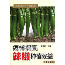 怎样提高辣椒种植效益
