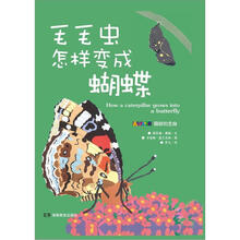 毛毛虫怎样变成蝴蝶