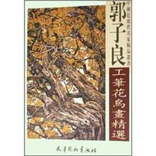 郭子良工笔花鸟画精选