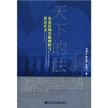 天下的法：公益法的实践理性与社会正义