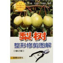 梨树整形修剪图解(修订版)