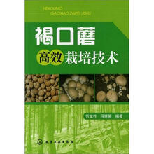 褐口蘑高效栽培技术
