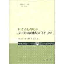 和谐社会视域中苏南弱势群里权益保护研究