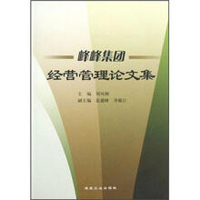 峰峰集团经营管理论文集