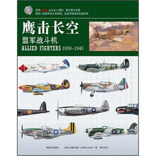 鹰击长空:盟军战斗机