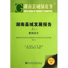 湖南县域发展报告No.1