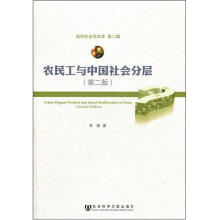 农民工与中国社会分层（第2版）