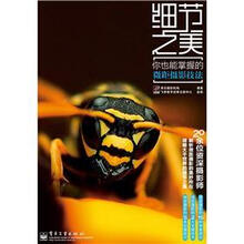 细节之美：你也能掌握的微距摄影技法（全彩）