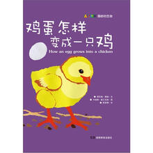 鸡蛋怎样变成一只鸡