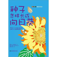 种子怎样长成向日葵
