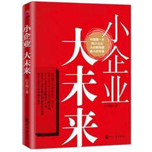 小企业，大未来