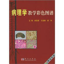 病理学教学彩色图谱（附光盘）