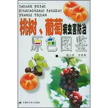 桃树、葡萄病虫害防治原色图鉴