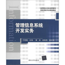 应用型本科信息管理与信息系统专业规划教材：管理信息系统开发实务
