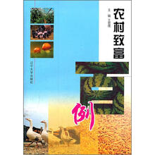 农村致富百例