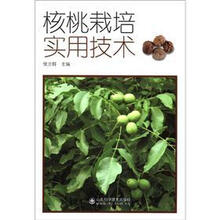 核桃栽培实用技术