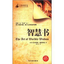 智慧书