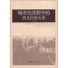 城市化进程中的西北民族关系