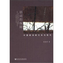 语词的探险：中国新诗的文本与现实