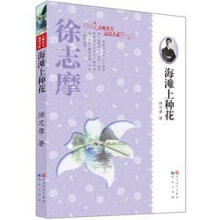海滩上种花