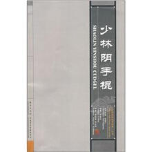 少林阴手棍(附口袋本+VCD影碟)