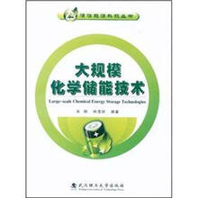大规模化学储能技术
