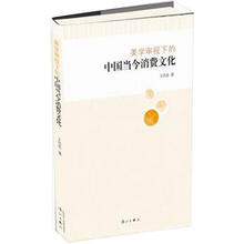 美学审视下的中国当今消费文化