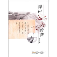 奔向远方的梦