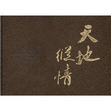 天地纵情 魅力新疆