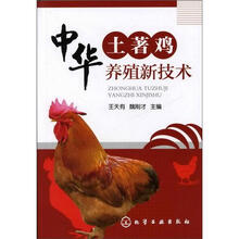 中华土著鸡养殖新技术