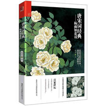 唐宋词经典：杨雨如是说