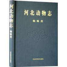 河北动物志：蜘蛛类