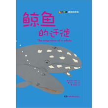 鲸鱼的迁徙