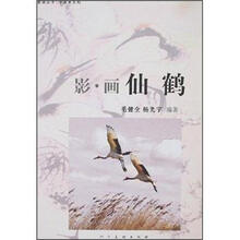 影·画仙鹤