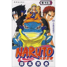 火影忍者（卷13）