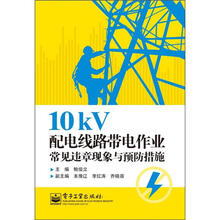 10kV配电线路带电作业常见违章现象与预防措施