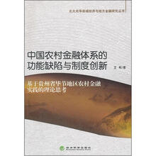 中国农村金融体系的功能缺陷与制度创新：基于贵州省毕节地区农村金融实践的理论思考