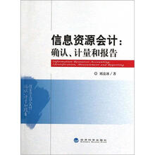 信息资源会计：确认、计量和报告
