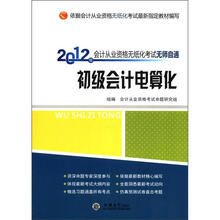 2012年会计从业资格无纸化考试无师自通：初级会计电算化（附光盘）