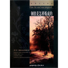 钢铁是怎样炼成的