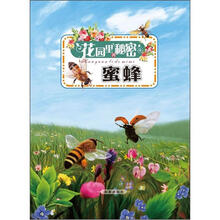 少儿科普美绘本系列：花园里的秘密（蜜蜂）