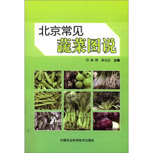 北京常见蔬菜图说