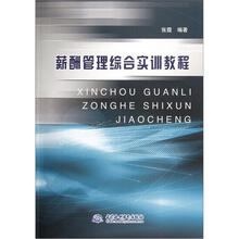 薪酬管理综合实训教程