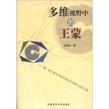 多维视野中的王蒙（第一届王蒙文学创作国际学术研讨会论文集）