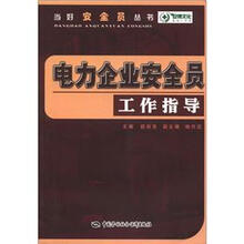 当好安全员丛书：电力企业安全员工作指导