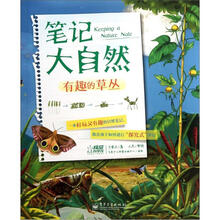 笔记大自然：有趣的草丛