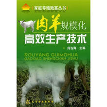 家庭养殖致富丛书：肉羊规模化高效生产技术